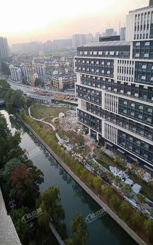 华海园三期迪晟晟座实景图