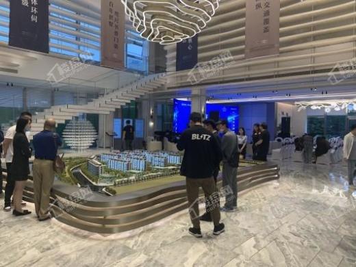 禹洲宋都望林府实景图