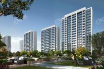 祥生湛景星合映效果图