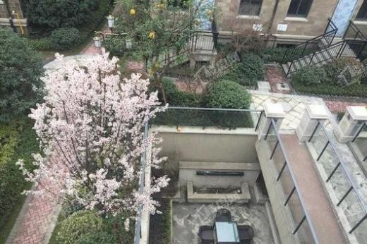 天地墅园首府实景图