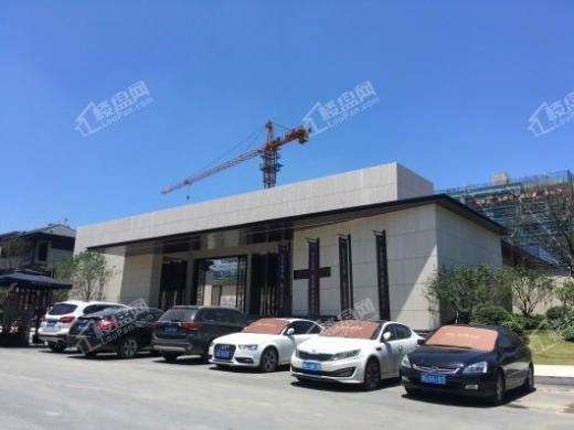 联发藏珑玉墅实景图