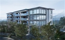 大华·春山椿树实景图