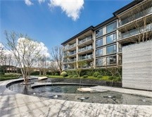 大华·春山椿树实景图