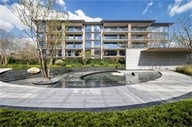 大华·春山椿树实景图