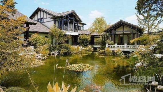 绿城·桃花源实景图