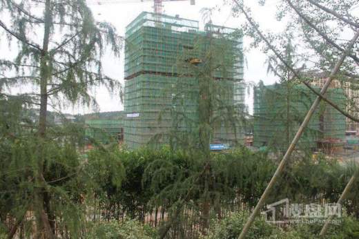 新明半岛实景图