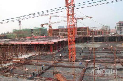 西城博司实景图