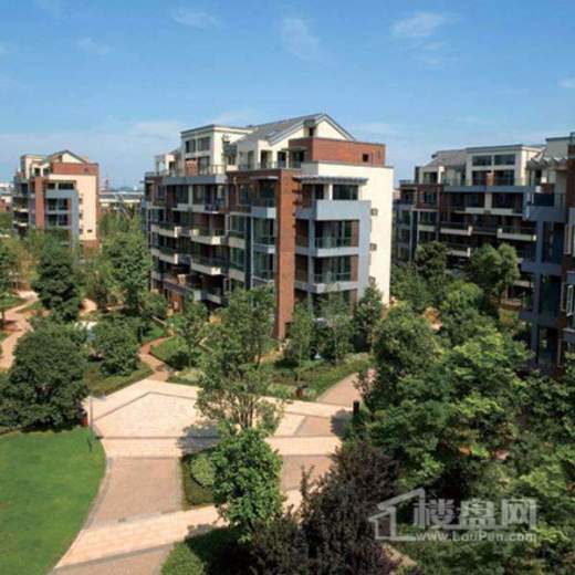 金成·江南春城·竹海水韵实景图