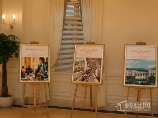 华元·天鹅堡 实景图