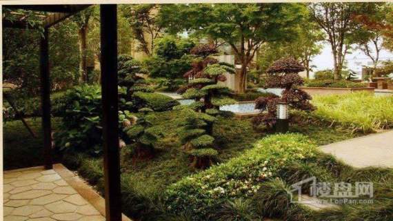 蓝钻天成实景图