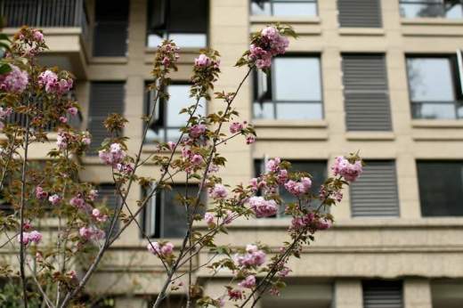 复地上城实景图