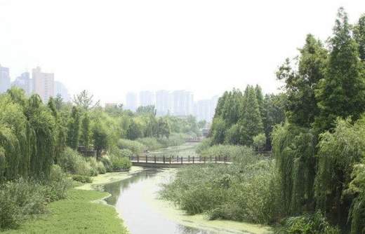 钱塘梧桐蓝山配套图