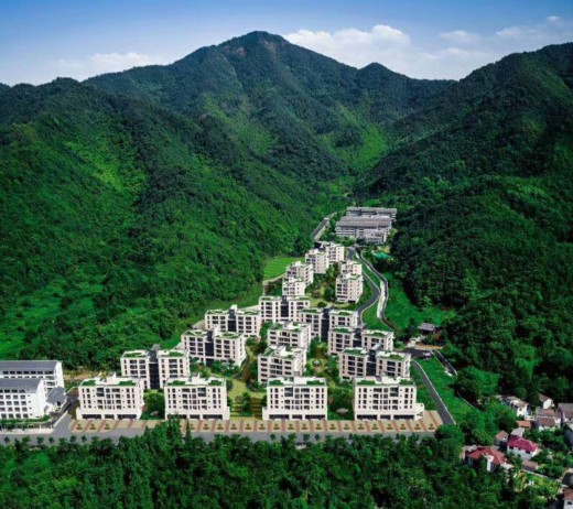 西溪十九府实景图