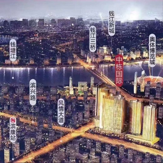 中栋国际效果图