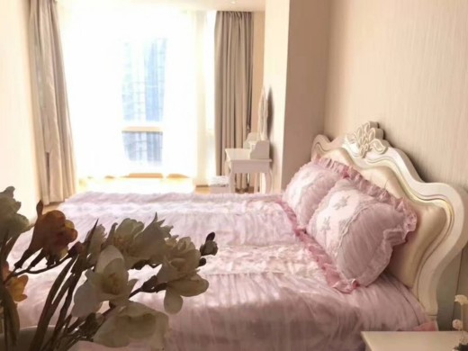 蓝钻天成效果图