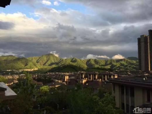 众安·白马山庄效果图