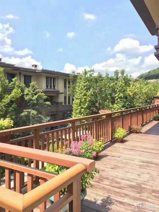 众安·白马山庄效果图