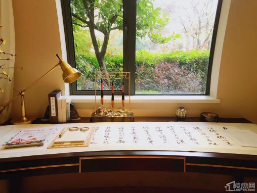 泰禾野风别墅效果图