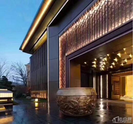 泰禾野风别墅效果图